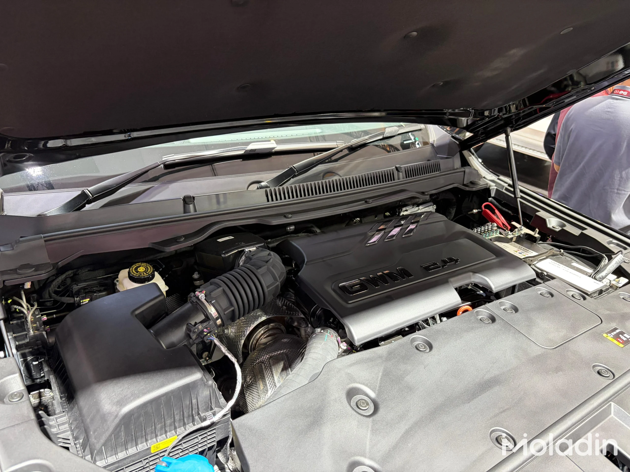 gwm tank 500 diesel - Moladin