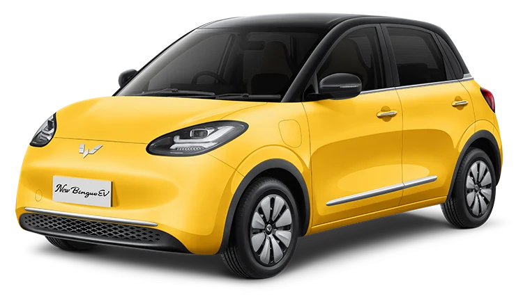 Wuling New Binguo EV Lite