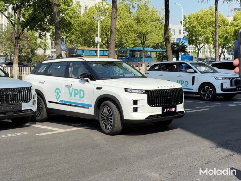 VPD omoda dan jaecoo - Moladin