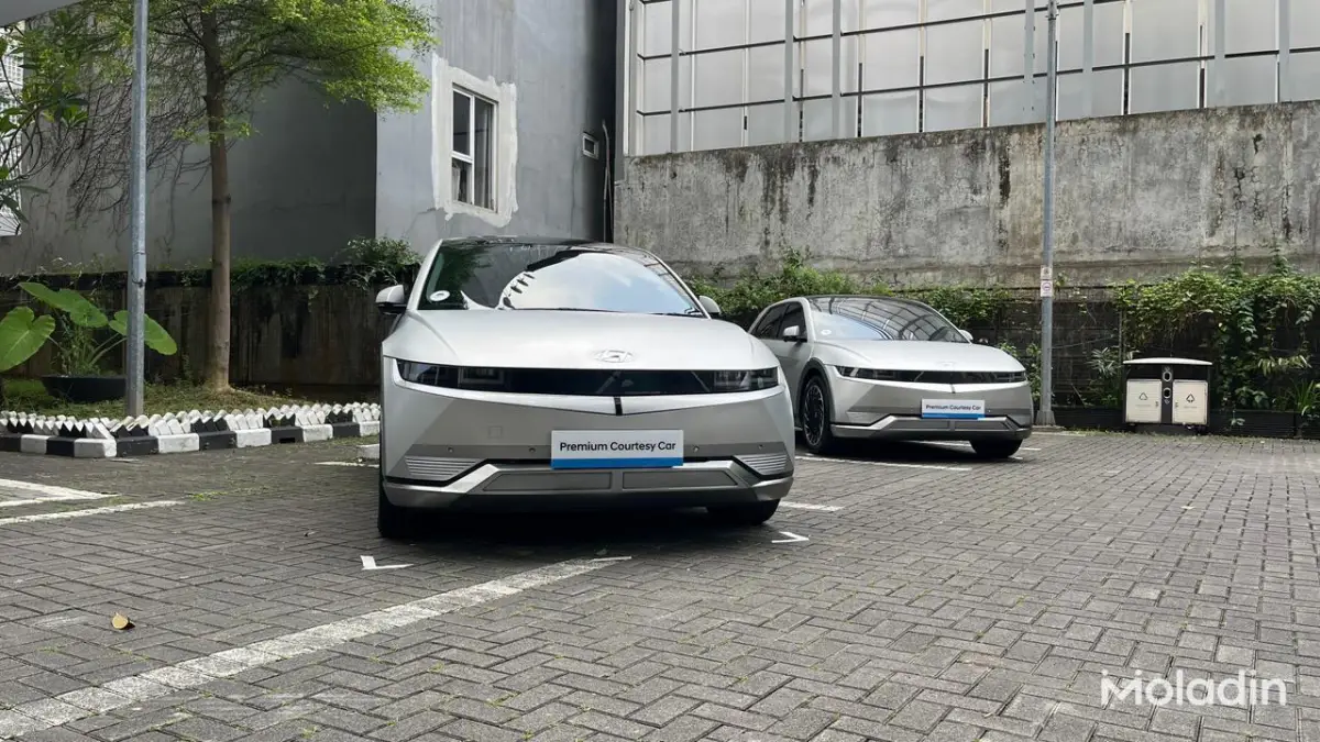 premiuum courtesy car program - Moladin