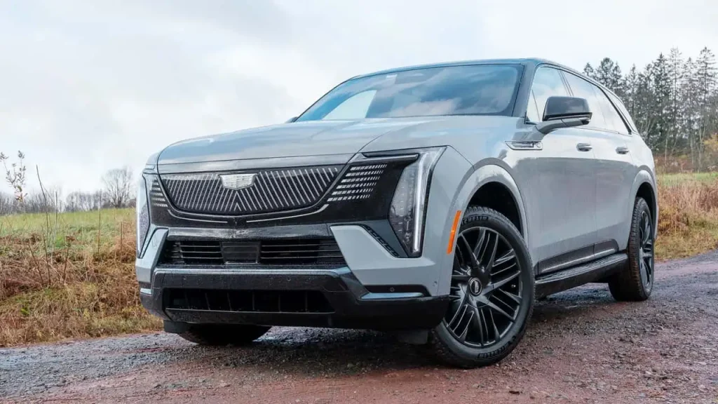 4 cadi