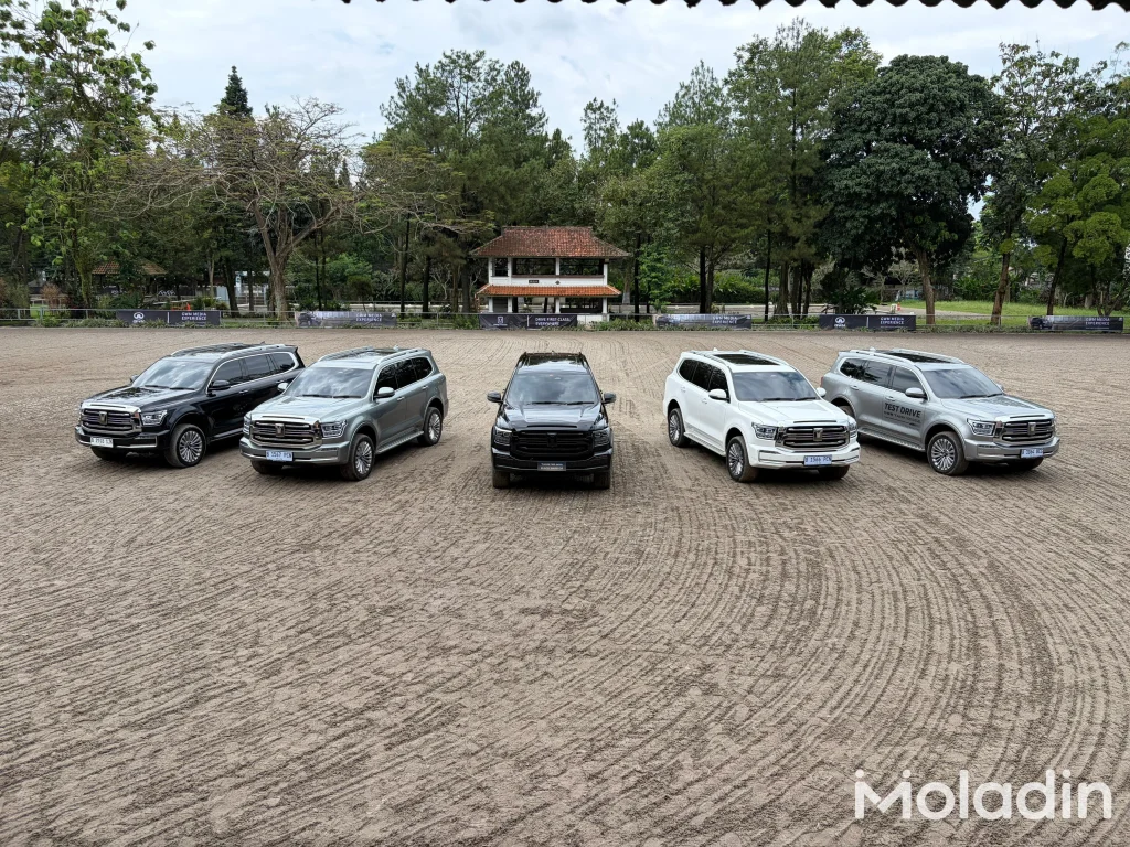 GWM Media Experience 2026 - Moladin