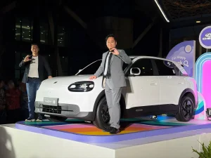 Chery Q