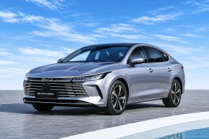 BYD King