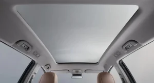 BYD M6 DM
