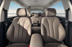 BYD M6 DM