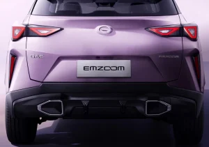 AION Emzoom