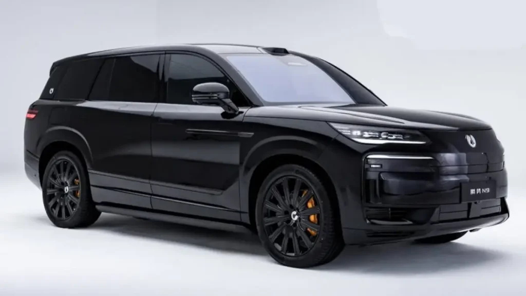 denza n9 suv - Moladin