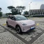 Mobil Listrik Geely EX2, Definisi Kata Pas untuk Mobilitas Harian - Tuwaga