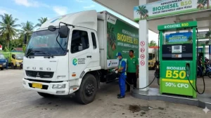 Mobil Diesel yang Bisa Pakai B50 Mulai 1 Juli 2026, Apakah Mobil Kamu Sudah Kompatibel?