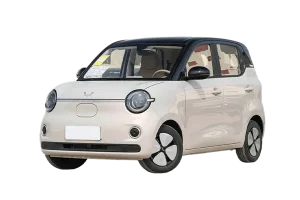 Wuling Mini EV EV
