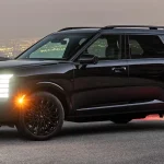 Hyundai Palisade Hybrid Calligraphy Black Ink Resmi Hadir, Tampilannya Serba Hitam - Tuwaga