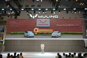 Vinfast VF3