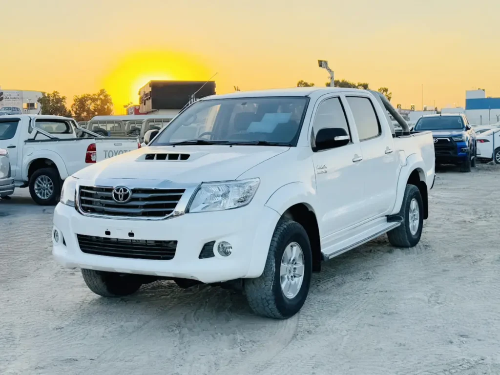 hilux 2010 - Moladin