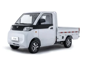 BAW T10