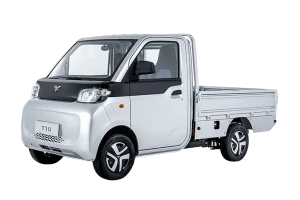 BAW T10 EV