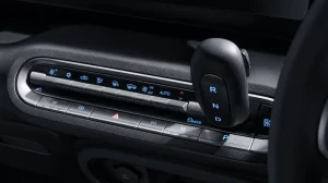 BYD Racco