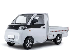 BAW T10