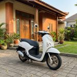 10 Rekomendasi Motor Bekas Pajak Murah, Cocok buat Harian - Tuwaga