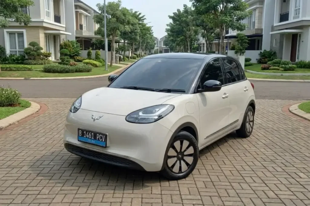 sewa kepemilikan mobil listrik - Moladin